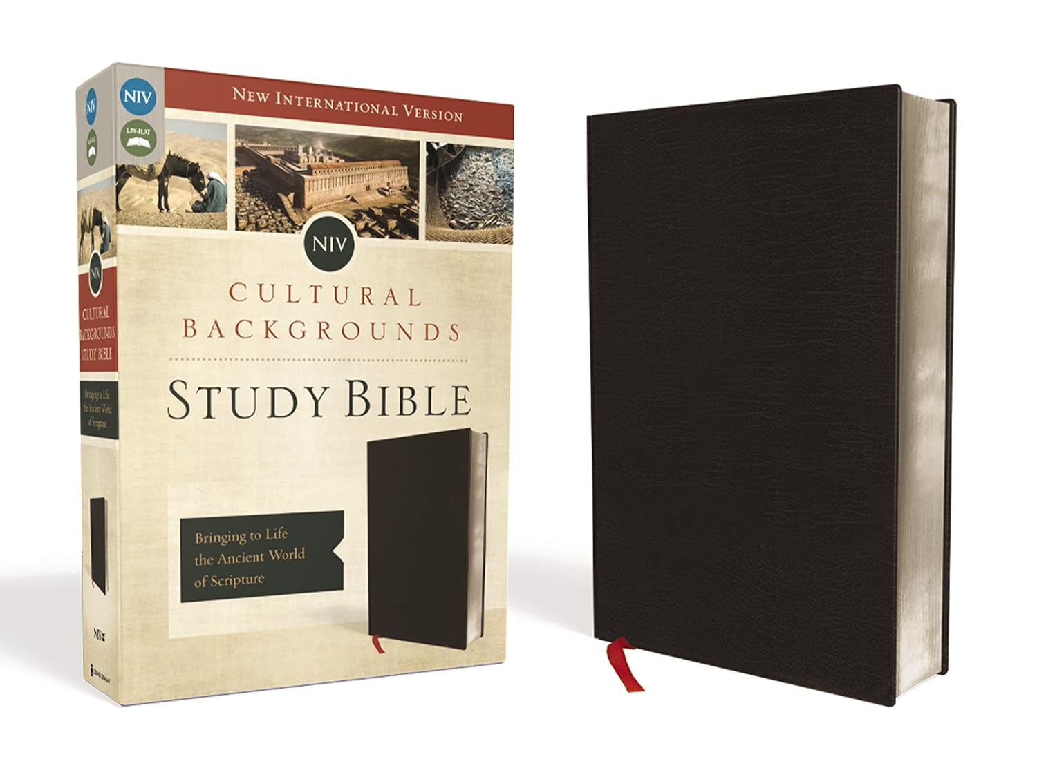 NIV, Cultural Backgrounds Study Bible, Bonded Leather, Black, Red Letter Edition