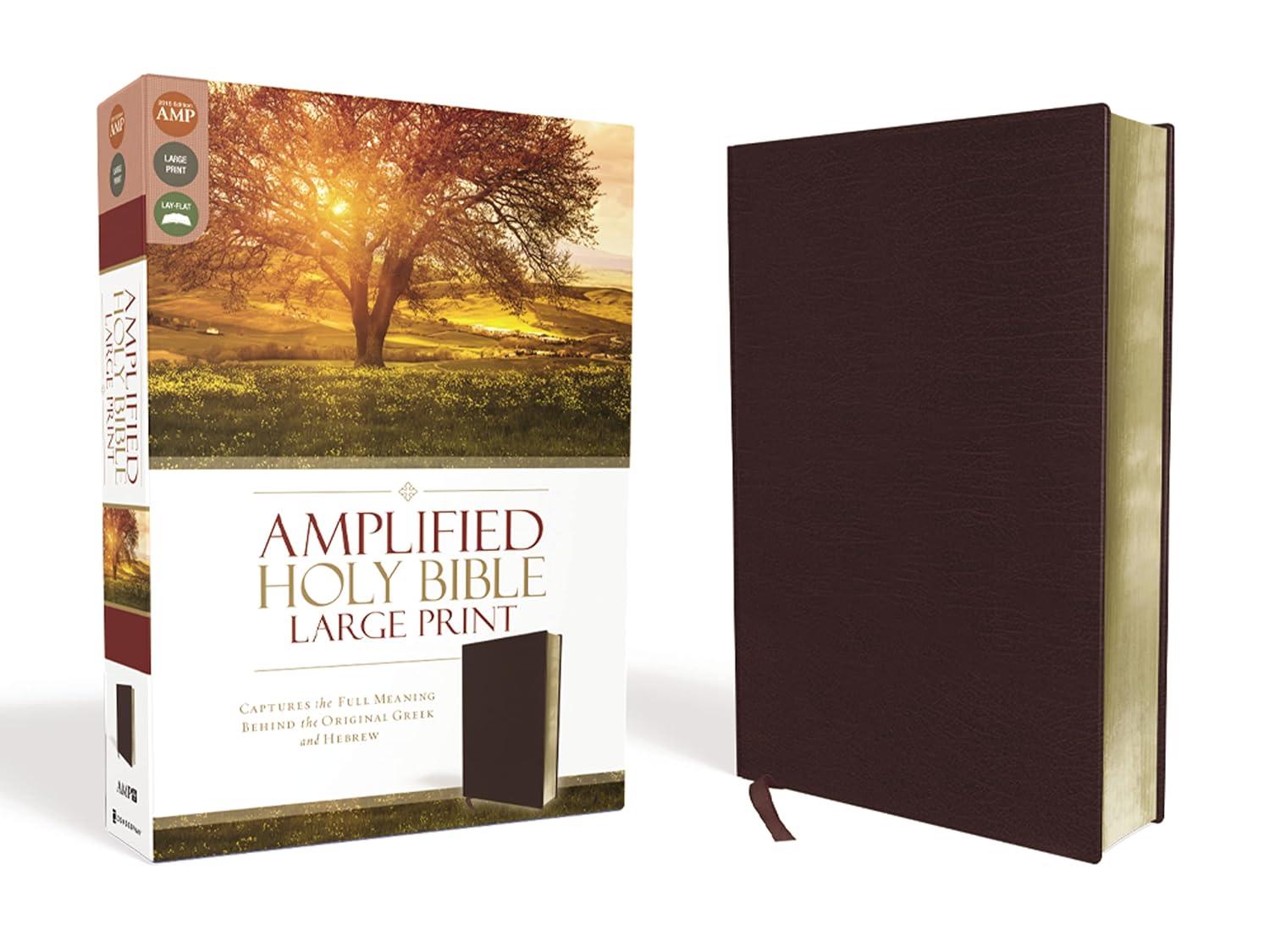 Amplified Holy Bible