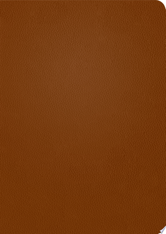 KJV Life Application Study Bible, Third Edition (Red Letter, Genuine Leather, Brown)